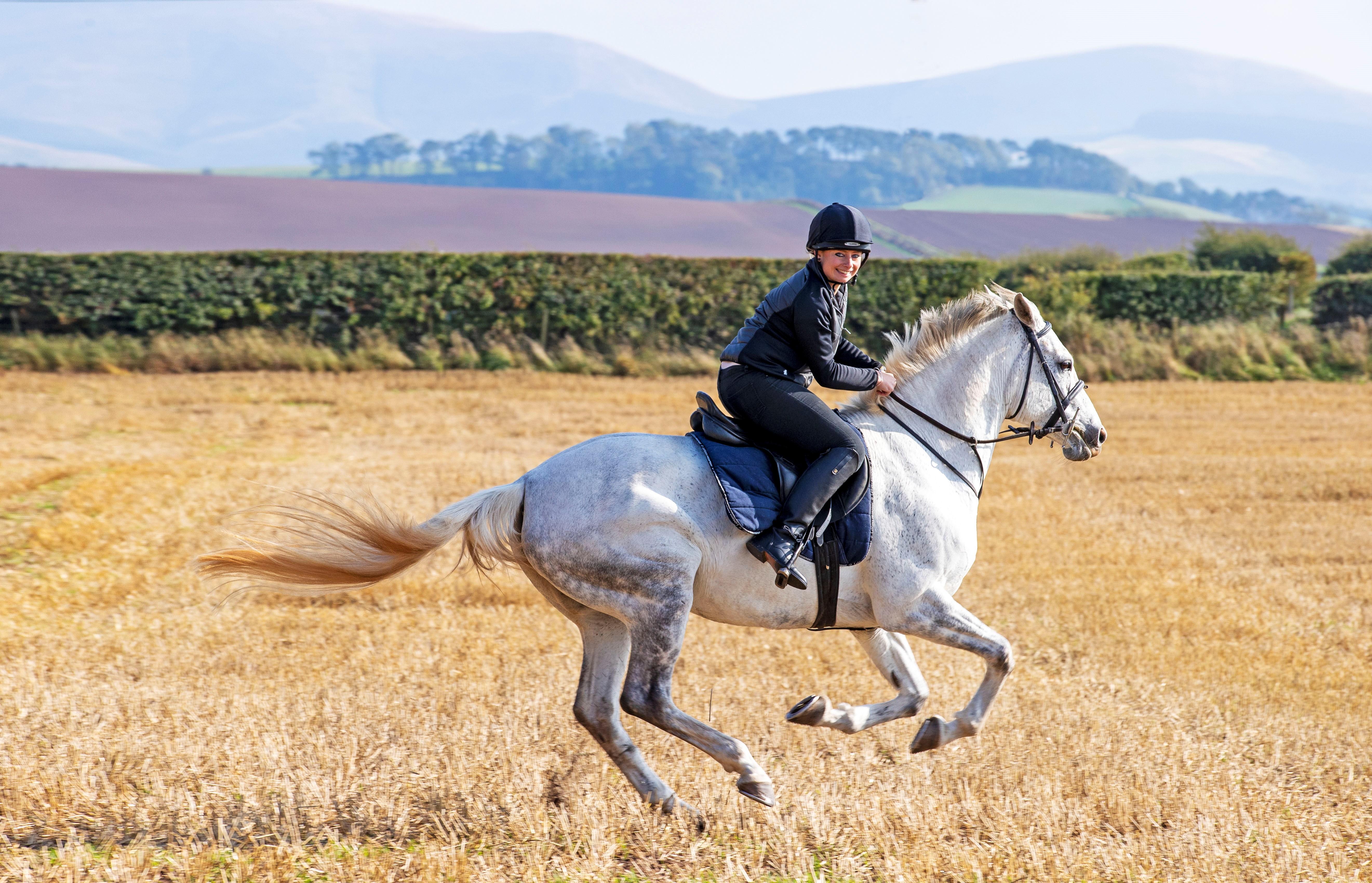 Schloss Roxburghe, Part Of Destination By Hyatt Kültér fotó A rider on a purebred Spanish horse